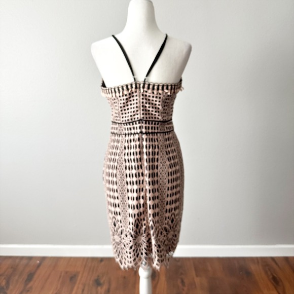 Harlyn Blush & Black Lace Overlay Sheath Cocktail Dress Scallop Hem Size Medium - Picture 7 of 15